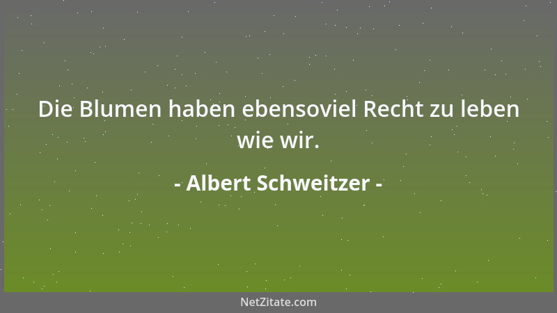 Albert Schweitzer - Die Blumen haben ebensoviel Recht zu leben wie wir....