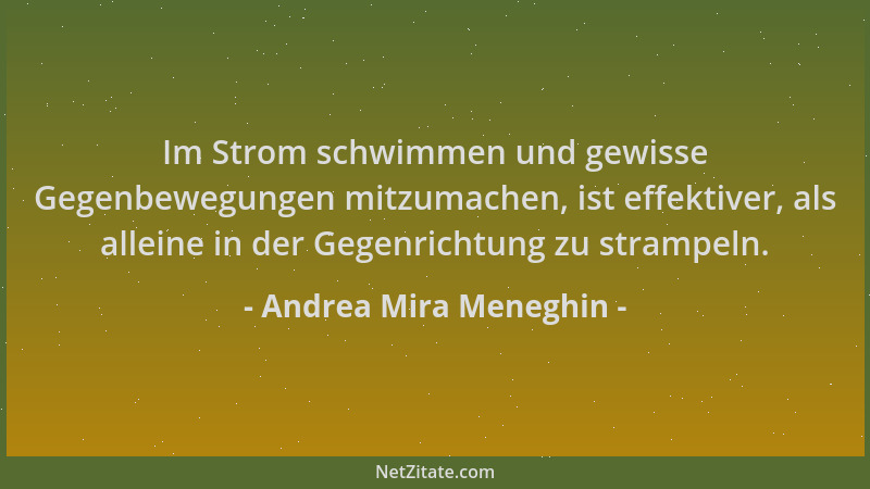 Andrea Mira Meneghin - Im Strom schwimmen und gewisse Gegenbewegungen mitzumachen, ist effektiver, als alleine in der Gegen...
