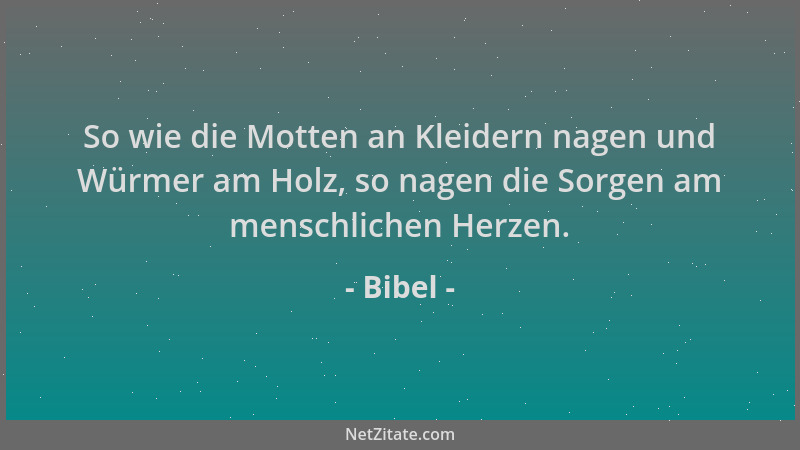 Bibel - So wie die Motten an Kleidern nagen und Würmer am Holz, so nagen die Sorgen am menschlichen Herzen....