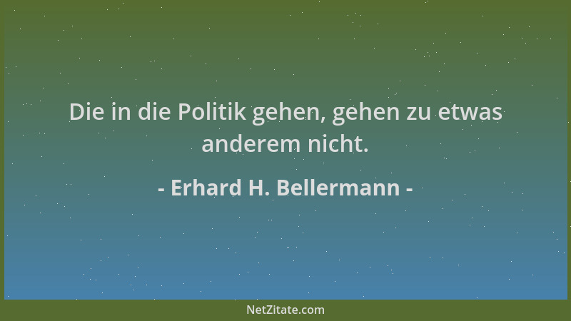 Erhard H. Bellermann - Die in die Politik gehen, gehen zu etwas anderem nicht....