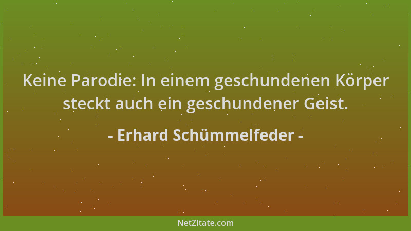 Erhard Schümmelfeder - Keine Parodie: In einem geschundenen Körper steckt auch ein geschundener Geist....