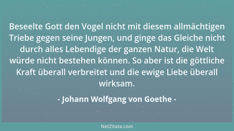 Johann Wolfgang von Goethe - Beseelte Gott den Vogel nicht mit diesem allmächtigen Triebe gegen seine Jungen, und ginge das...