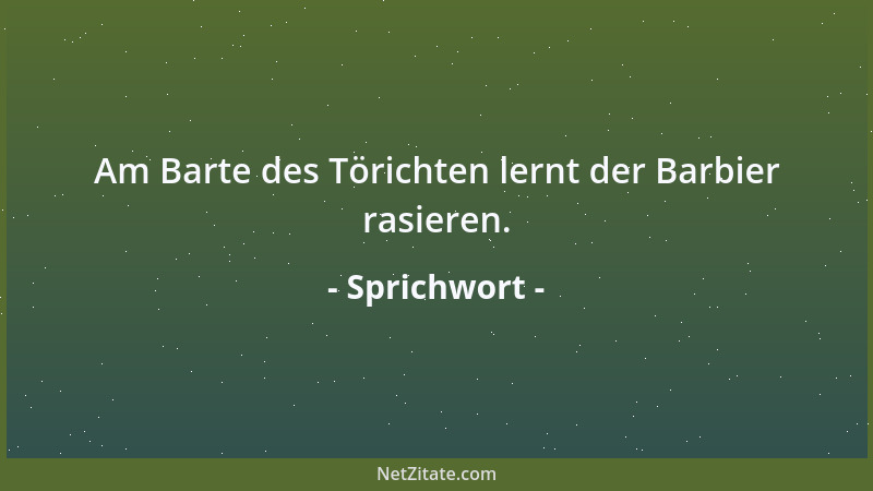 Sprichwort - Am Barte des Törichten lernt der Barbier rasieren....