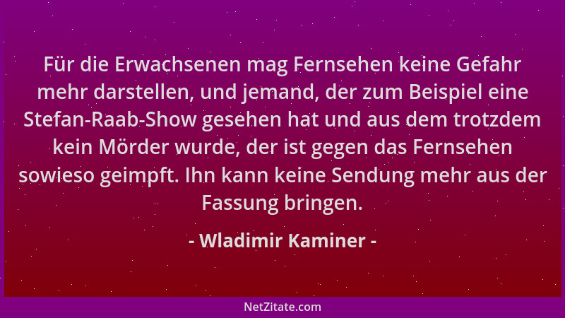 Wladimir Kaminer - Für die Erwachsenen mag Fernsehen keine Gefahr mehr darstellen, und jemand, der zum Beispiel eine Stefan...