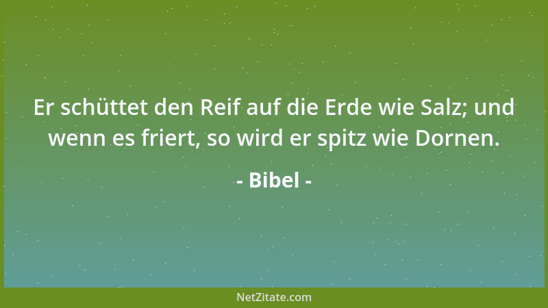 Bibel - Er schüttet den Reif auf die Erde wie Salz; und wenn es friert, so wird er spitz wie Dornen....