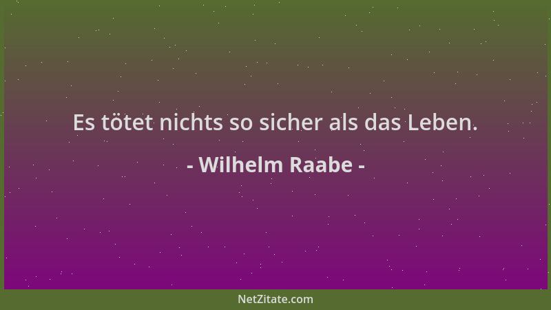 Wilhelm Raabe - Es tötet nichts so sicher als das Leben....