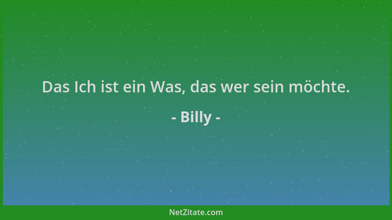 Billy - Das Ich ist ein Was, das wer sein möchte....