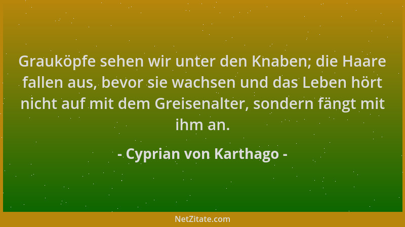 Cyprian von Karthago - Grauköpfe sehen wir unter den Knaben; die Haare fallen aus, bevor sie wachsen und das Leben hört nic...