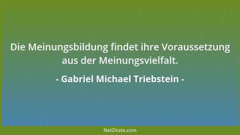 Gabriel Michael Triebstein - Die Eitelkeit hat viele Gesichter und eine davon heißt, das Gesicht wahren....