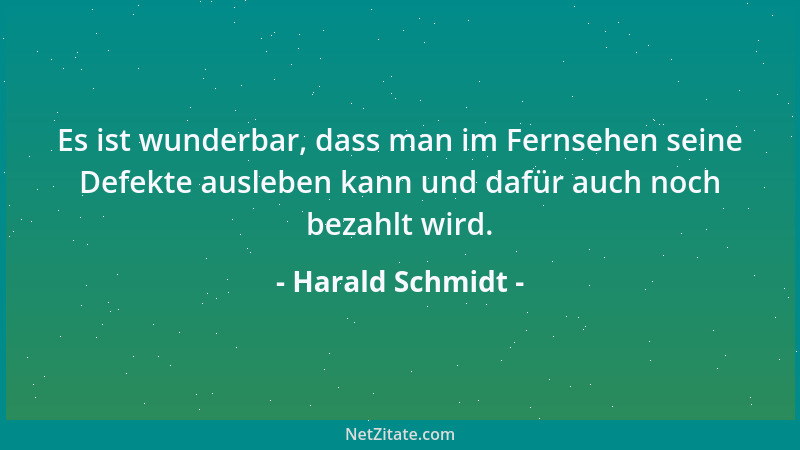 Harald Schmidt - Es ist wunderbar, dass man im Fernsehen seine Defekte ausleben kann und dafür auch noch bezahlt wird....