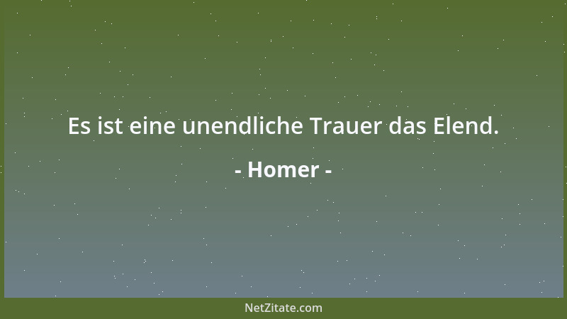 Homer - Es ist eine unendliche Trauer das Elend....