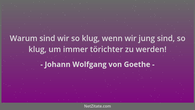 Johann Wolfgang von Goethe - Warum sind wir so klug, wenn wir jung sind, so klug, um immer törichter zu werden!...