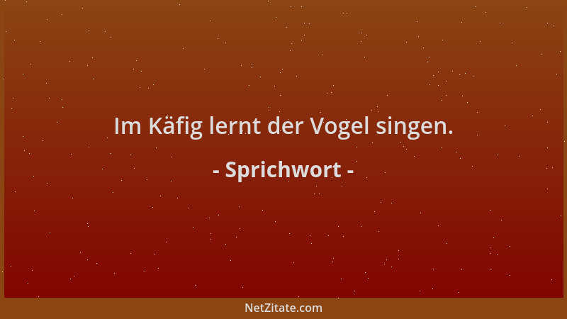 Sprichwort - Im Käfig lernt der Vogel singen....