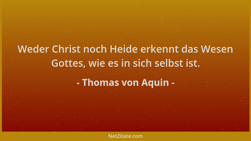 Thomas von Aquin - Weder Christ noch Heide erkennt das Wesen Gottes, wie es in sich selbst ist....