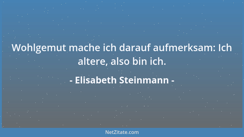 Elisabeth Steinmann - Wohlgemut mache ich darauf aufmerksam: Ich altere, also bin ich....