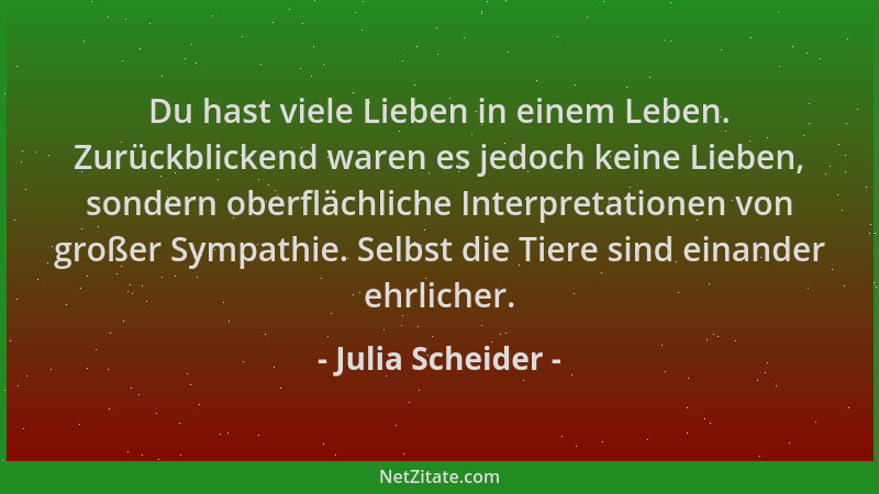 Julia Scheider - Du hast viele Lieben in einem Leben. Zurückblickend waren es jedoch keine Lieben, sondern oberflächliche I...