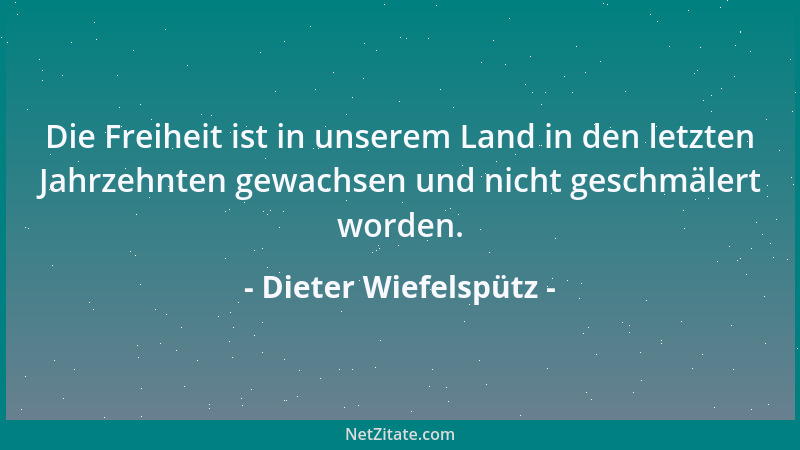 Dieter Wiefelspütz - Die Freiheit ist in unserem Land in den letzten Jahrzehnten gewachsen und nicht geschmälert worden....