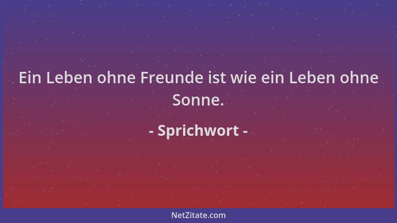 Sprichwort - Ein Leben ohne Freunde ist wie ein Leben ohne Sonne....