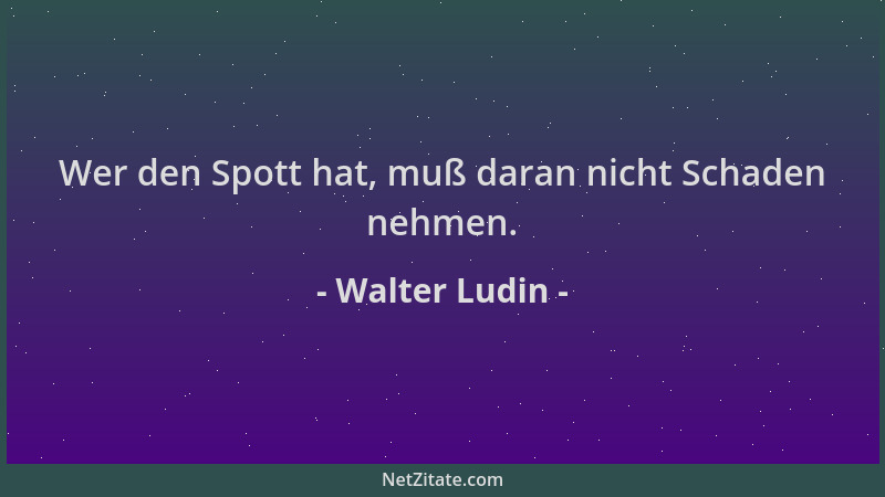 Walter Ludin - Wer den Spott hat, muß daran nicht Schaden nehmen....