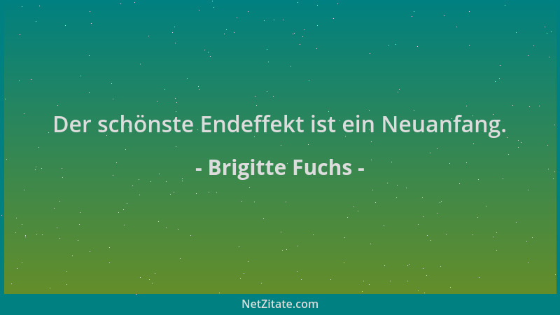 Brigitte Fuchs - Der schönste Endeffekt ist ein Neuanfang....