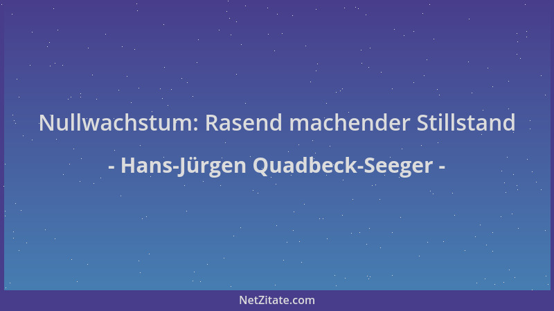 Hans-Jürgen Quadbeck-Seeger - Nullwachstum: Rasend machender Stillstand...
