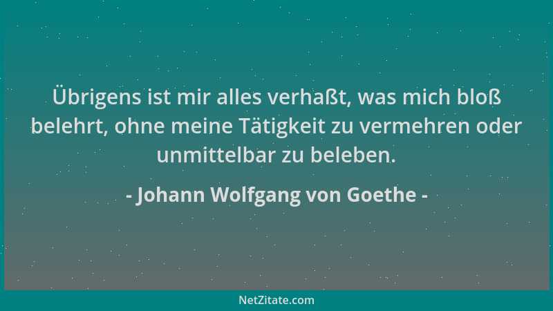Johann Wolfgang von Goethe - Übrigens ist mir alles verhaßt, was mich bloß belehrt, ohne meine Tätigkeit zu vermehren oder...