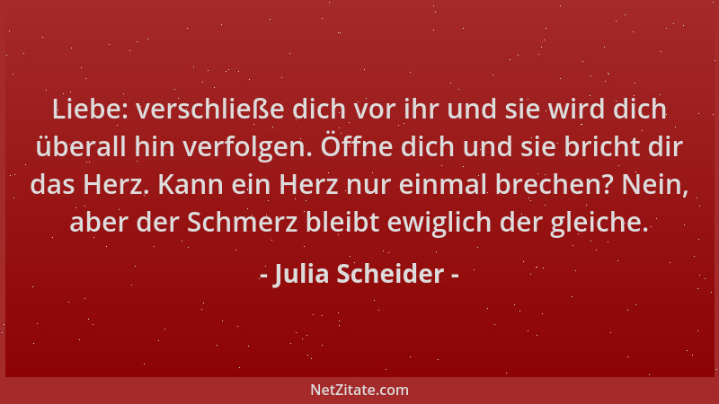 Julia Scheider - Liebe: verschließe dich vor ihr und sie wird dich überall hin verfolgen. Öffne dich und sie bricht dir das...