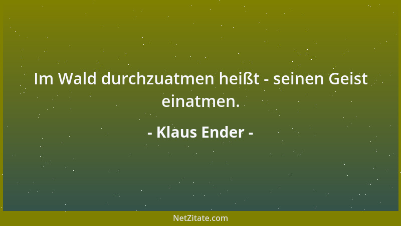 Klaus Ender - Im Wald durchzuatmen heißt - seinen Geist einatmen....
