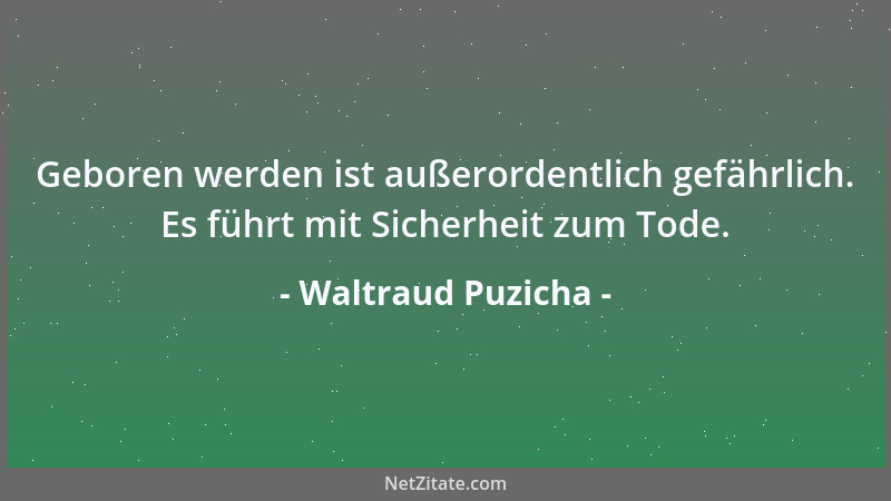 Waltraud Puzicha - Geboren werden ist außerordentlich gefährlich. Es führt mit Sicherheit zum Tode....