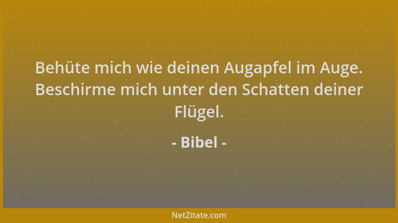 Bibel - Behüte mich wie deinen Augapfel im Auge. Beschirme mich unter den Schatten deiner Flügel....