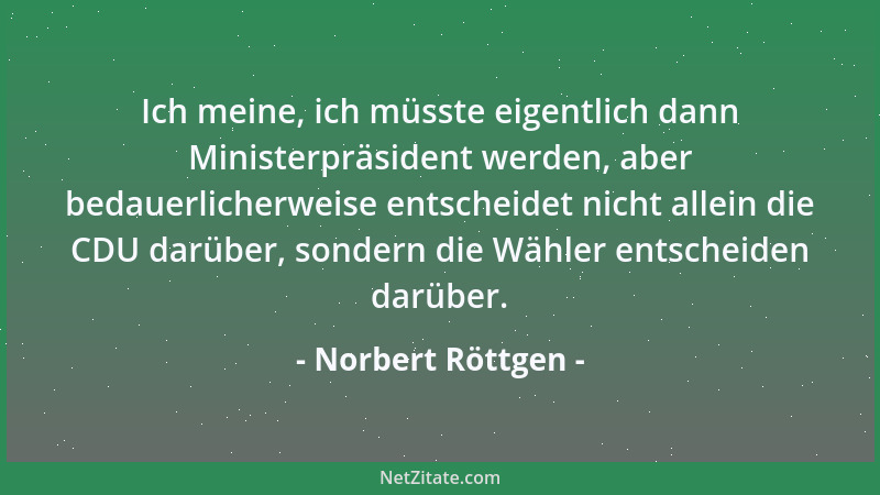 Norbert Röttgen - Ich meine, ich müsste eigentlich dann Ministerpräsident werden, aber bedauerlicherweise entscheidet nicht...