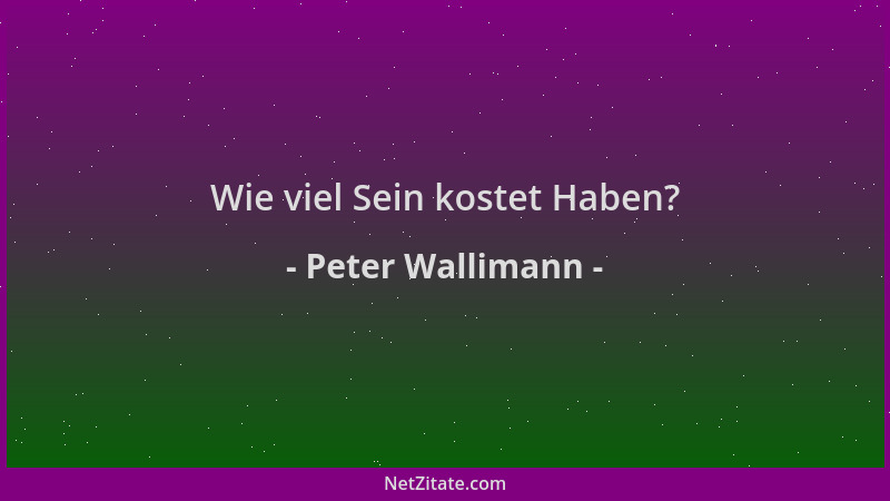 Peter Wallimann - Wie viel Sein kostet Haben?...