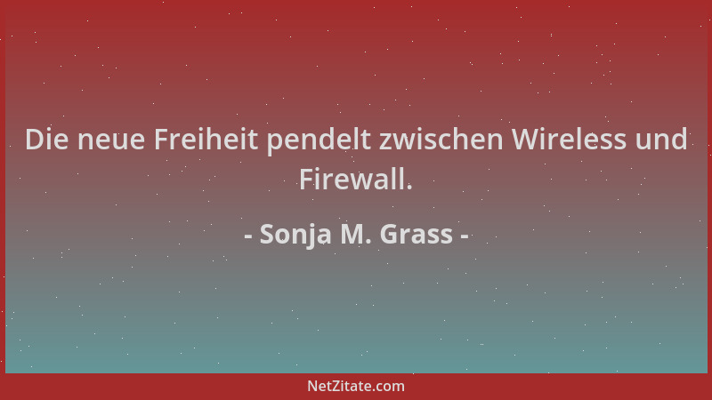 Sonja M. Grass - Die neue Freiheit pendelt zwischen Wireless und Firewall....