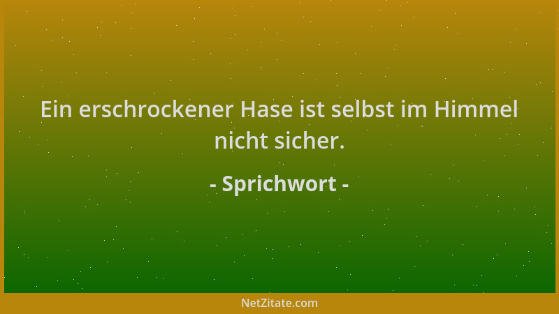 Sprichwort - Ein erschrockener Hase ist selbst im Himmel nicht sicher....