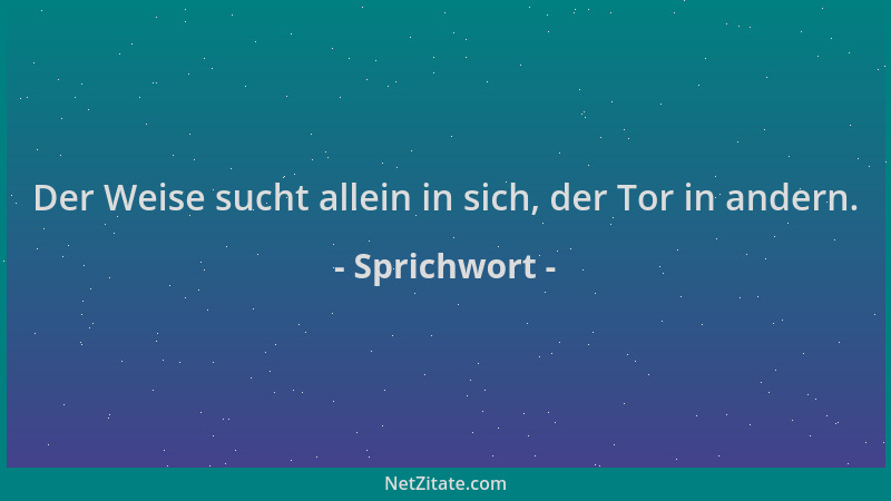 Sprichwort - Der Weise sucht allein in sich, der Tor in andern....