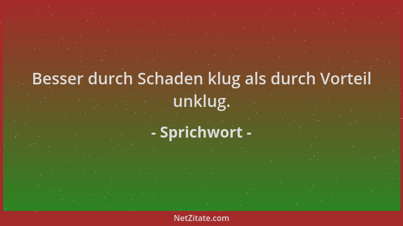 Sprichwort - Besser durch Schaden klug als durch Vorteil unklug....