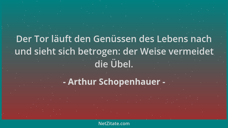 Arthur Schopenhauer - Der Tor läuft den Genüssen des Lebens nach und sieht sich betrogen: der Weise vermeidet die Übel....