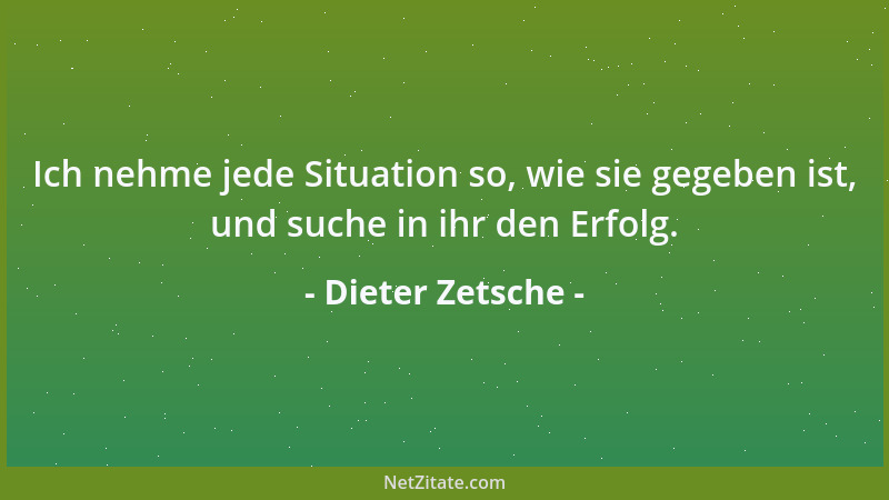 Dieter Zetsche - Ich nehme jede Situation so, wie sie gegeben ist, und suche in ihr den Erfolg....