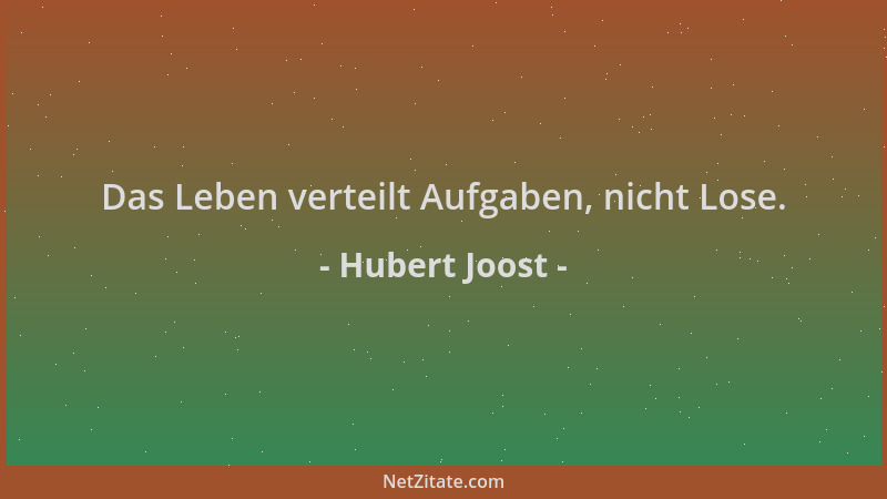 Hubert Joost - Das Leben verteilt Aufgaben, nicht Lose....
