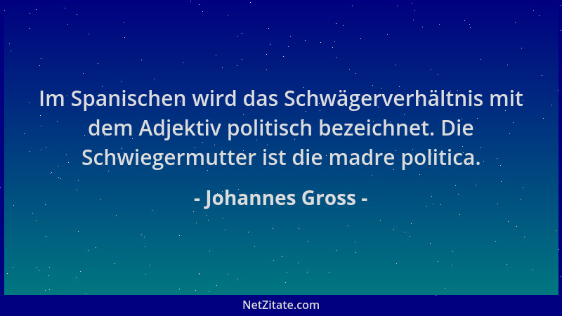 Johannes Gross - Im Spanischen wird das Schwägerverhältnis mit dem Adjektiv politisch bezeichnet. Die Schwiegermutter ist d...