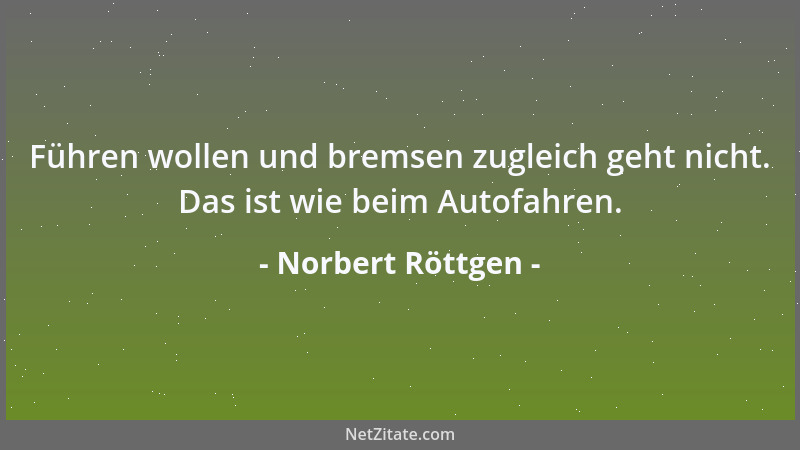 Norbert Röttgen - Führen wollen und bremsen zugleich geht nicht. Das ist wie beim Autofahren....