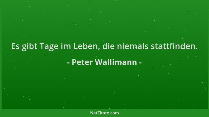 Peter Wallimann - Es gibt Tage im Leben, die niemals stattfinden....
