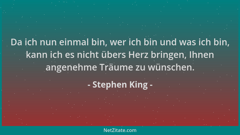 Stephen King - Da ich nun einmal bin, wer ich bin und was ich bin, kann ich es nicht übers Herz bringen, Ihnen angenehme Tr...