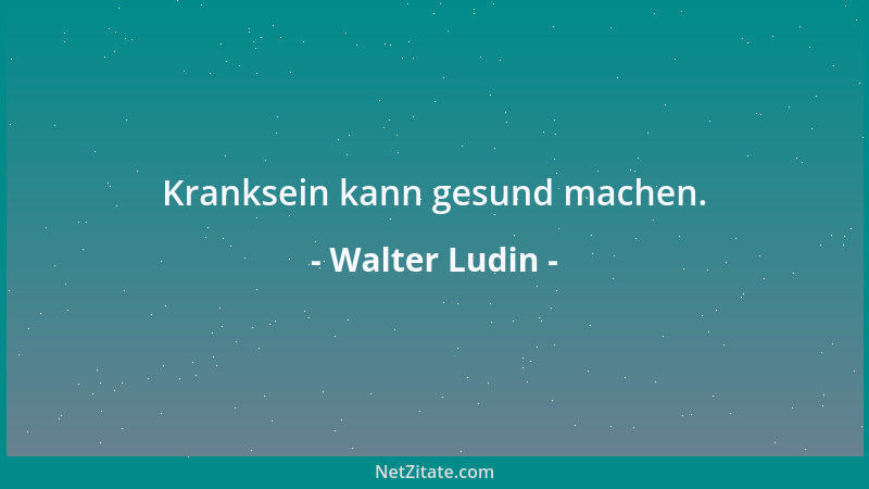 Walter Ludin - Übersetzungsversuch Anyway: Mer wey ned grüble....