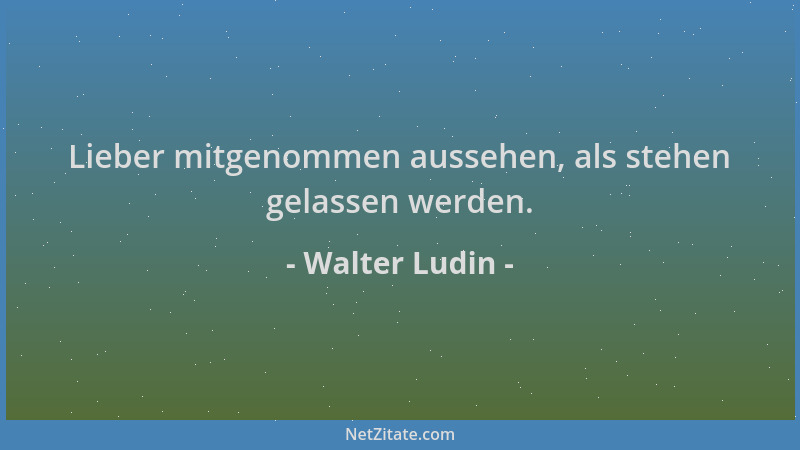 Walter Ludin - Lieber mitgenommen aussehen, als stehen gelassen werden....