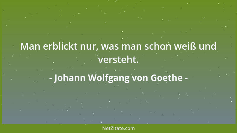 Johann Wolfgang von Goethe - Man erblickt nur, was man schon weiß und versteht....