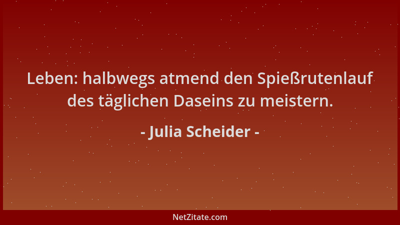 Julia Scheider - Leben: halbwegs atmend den Spießrutenlauf des täglichen Daseins zu meistern....