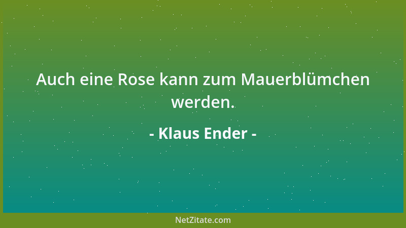 Klaus Ender - Auch eine Rose kann zum Mauerblümchen werden....