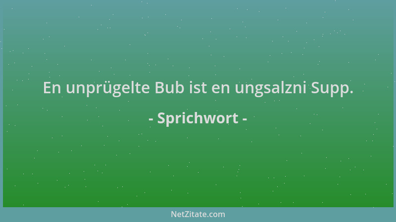 Sprichwort - En unprügelte Bub ist en ungsalzni Supp....