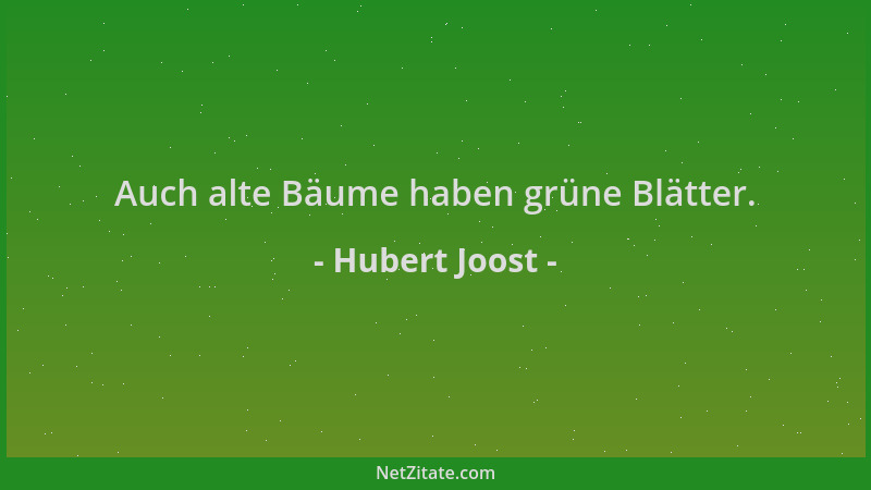 Hubert Joost - Auch alte Bäume haben grüne Blätter....